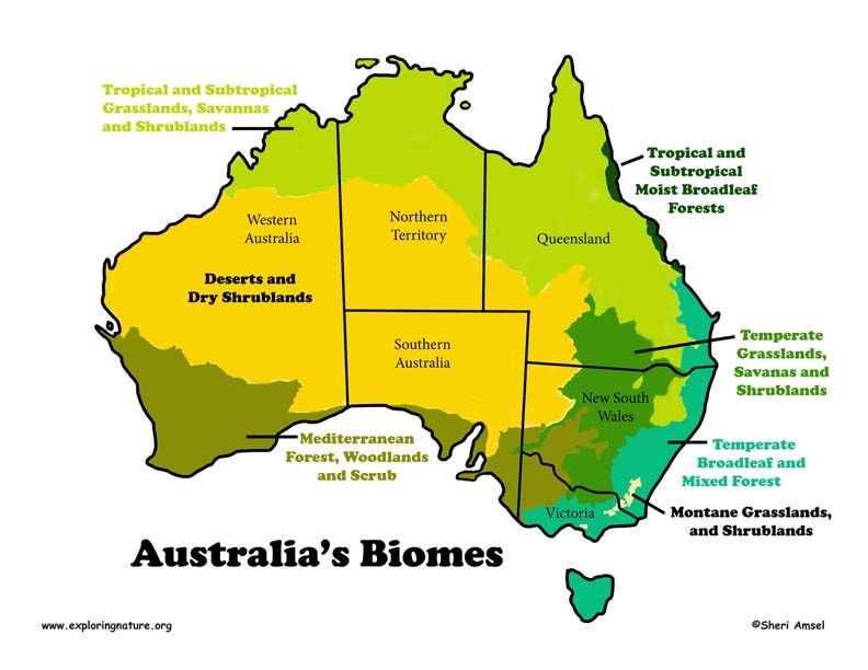 Australian Mountain Ranges
