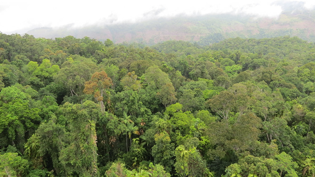 Blue Mountains
