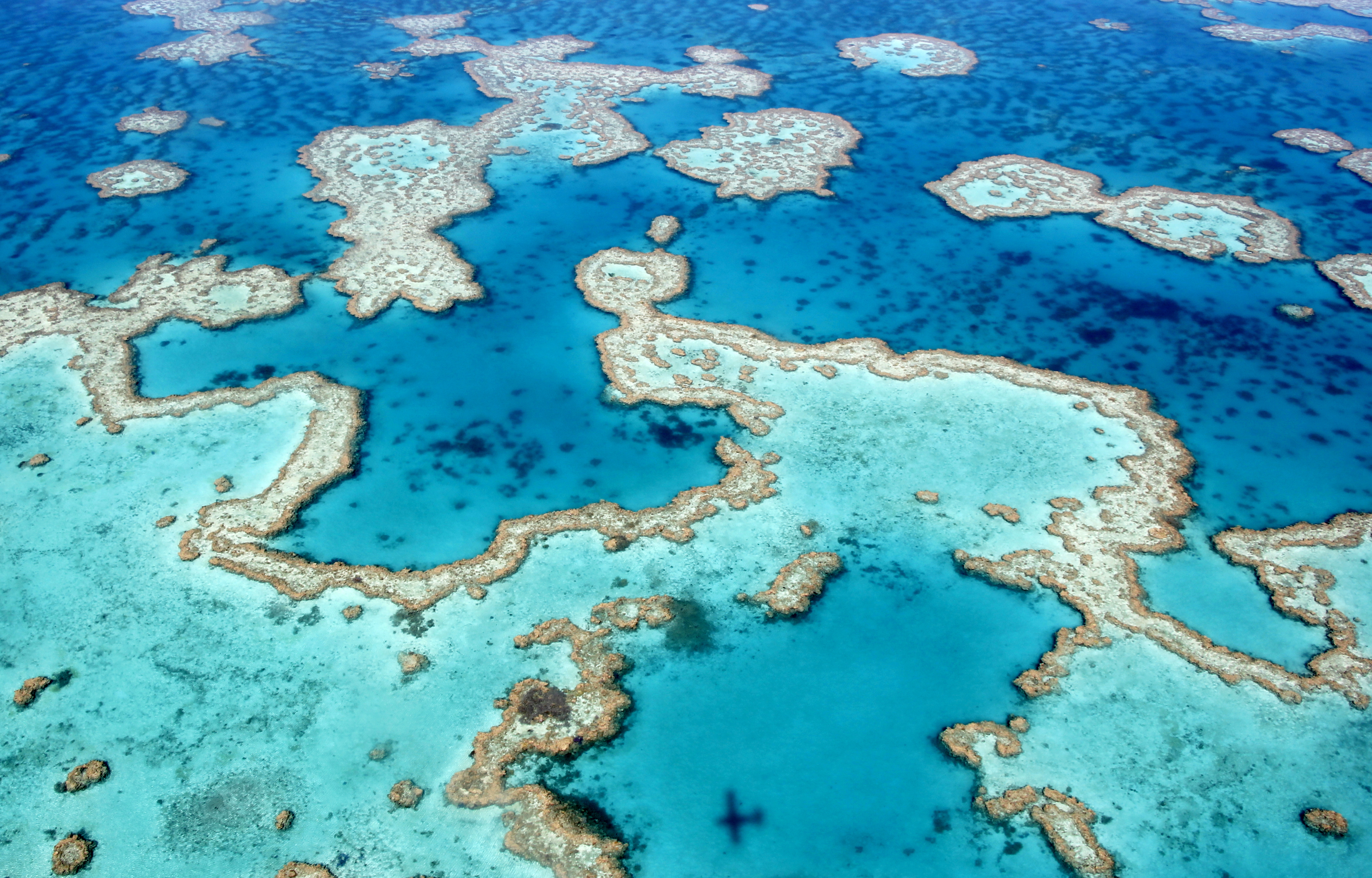 Islands on the Great Barrier Reef
