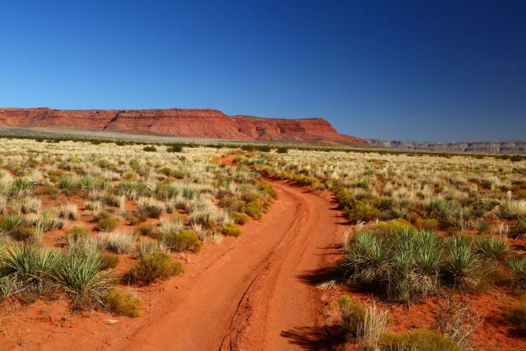 The Outback