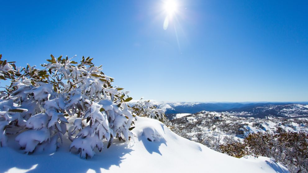 Snowy Mountains